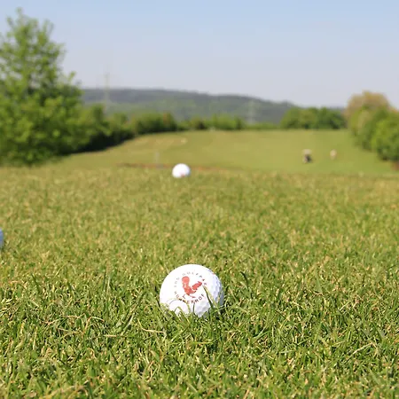 Otel Gut Huehnerhof Gründau