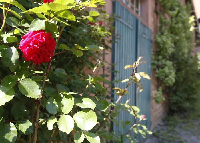 Gut Huehnerhof Grundau